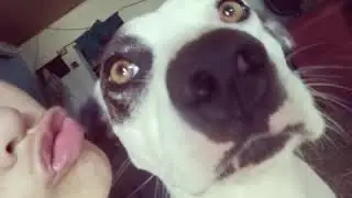 Amor Perruno ❤️💓💖