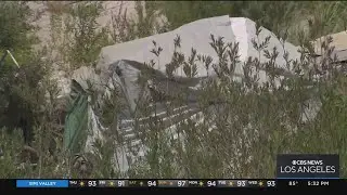 Riverside City Council bans homeless encampments in fire-prone areas