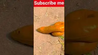 Short hello baby hug da hug diya 🤣😂... #comedy #funnyshorts #viralshorts &lrm;@FunnykiVideos