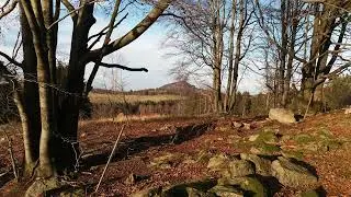 deep house chill house / K-Nollo - Waldliebe (Forest love)