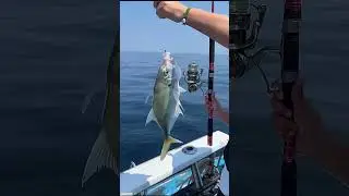 best GT fish🔥🔥🐟 #fishing #shorts #seafishing