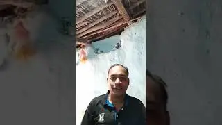 Learn to play mandar