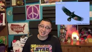 Raven | Ravens | Symbolism & Possible Spiritual Meaning of Seeing | A Friday Podcast Clip w/ Chris
