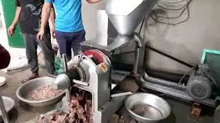 M&aacute;y &eacute;p dầu lạc Guangxin  YZYX 95WK