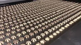 Carbon Steel Conveyor Belt Bake Oven Biscuit Cookies tunnel oven bakery belt steel band Oven Bands