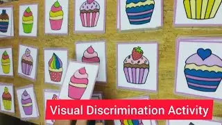 Visual Perception, Visual Discrimination Activity