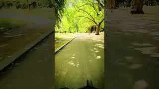 Victoria park🇬🇧#london #uklife #shorts #park #reels #shortvideo #tranding #foryou #instagram #europe
