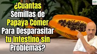 🍈⚠️ &iquest;CUANTAS SEMILLAS DE PAPAYA TOMAR PARA DESPARASITAR TU INTESTINO SIN CONTRAINDICACIONES?🍈⚠️