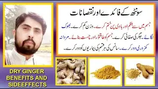 saunth kay fayday aor nuqsanat in urdu/hindi | dry ginger benefits and sideeffects by jolly azeem |