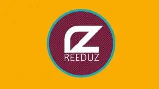 After Effects 2D Intro / for ReeduZ