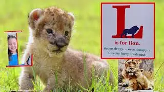 ABC Zoo Borns!