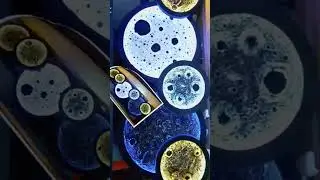 Moon Light.. Oder Now: 076-4413369