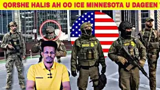 HALIS WEYN: Ciidamada Socdalka  #ICE oo sharciyeystay toogashada dadka shacabka ah ee rer #Minnesota