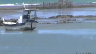 Alagoas(Elemento5)