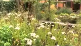 Prijswinnende tuin van EcoCare Gorris