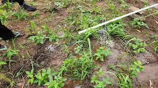 Intermittent Streams of Water