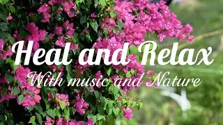 Relaxing With nature and Music with piano and pads and Healing frequency