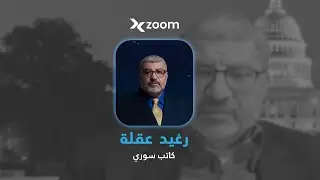 سلطة تعمل بالمفرّق هل خرج مستقبل سوريا من أيدي السوريين؟ الكاتب السوري رغيد عقلة يتحدث عن كيفية إدا
