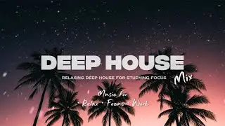 Deep House for Study & Focus 🌴 Sunset Palm Vibes | Chill Music to Work & Relax