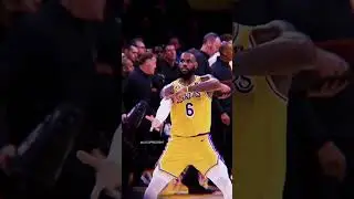 LeBron & Schroder COLD Celebration 🥶📸 #shorts