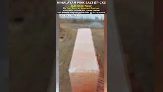 Where to Buy Himalayan Pink Salt Bricks (8x4x2) in Bulk | Sun Overseas Company #shorts