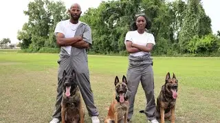 Dawg Out &ndash; Big Nell x D.A.T.R.U.T.H.H (Official Music Video) | Kingdom Heat Unleashed 🐾🔥