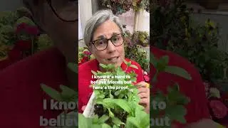 Comment BLOCKER in IG or FB and I&rsquo;ll DM the link to my favorite soil blockers and my seed starting c