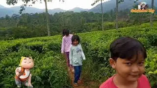 LIBURAN DI PUNCAK BOGOR, Serunya liburan bersama keluarga | #AzkaZaidanVlog