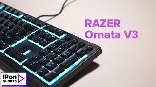 iPon shorts | RAZ&Xi;R Ornata V3 #razergaming