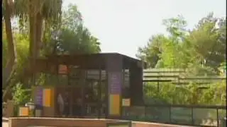 Camp Zoo offers something fun for kids this summer