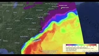 Satellite tracking of Amelia the Bluefin Tuna