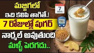 మజ్జిగలో ఇది కలిపి తాగితే షుగర్ నార్మల్!_Best Home Remedy for Diabetes | DiabetesControl #diabetes