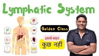 🚨 Lymphatic System (Anatomy & Physiology) | B.Sc. Nursing | B. Pharm | Free Online Class | Bhushan