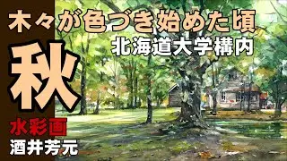 北海道大学構内、秋の風景2023　水彩画　酒井芳元