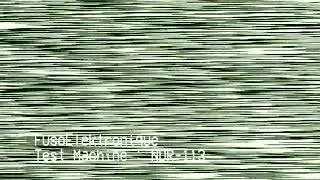 FusoElektronique Test Machine: NDR-113