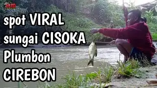 spot VIRAL sungai CISOKA PLUMBON CIREBON || Mancing mania mancing tawes