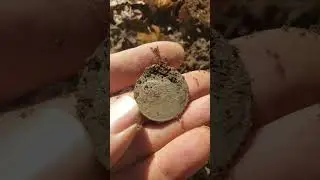Amazing 1731 KGII. #manticore #metaldetecting #metaldetector #1700s #colonial #coin #copper