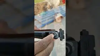 Professional Shooter | Killer | Hunter | Animals | Birds #youtubeshorts #shorts #ytshorts
