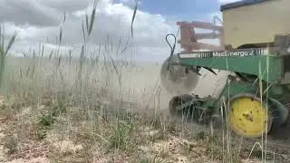 Strip-tilling Cotton 2021