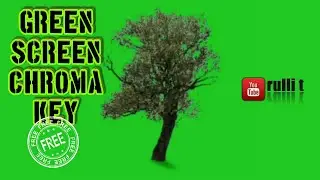 Green Screen FX- TREE animation 🔊