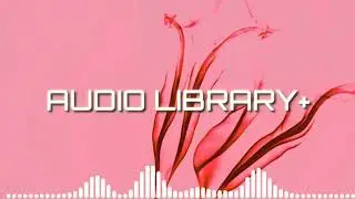 NO COPYRIGHT [AUDIO LIBRARY PLUS]
