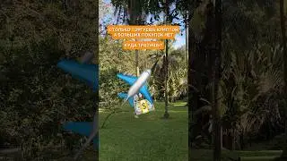 Путешествия на заработок от биткоина #биткоин #криптовалютадляначинающих