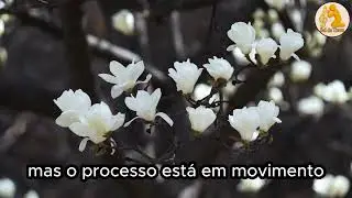 PROMESSA DE ESPERANÇA EM DEUS: