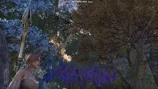 Rift Music and Ambience ESO