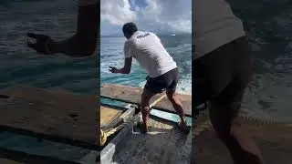 &ldquo;Anchor Drop Moment ⚓ | Feel the Power of the Ocean 🌊&rdquo;