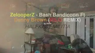 ZELOOPERZ- BASH BANDICOON FT. DANNY BROWN (RILO REMIX)