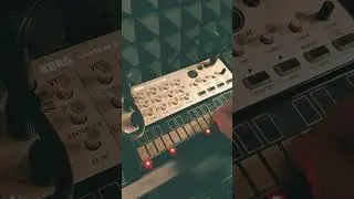 Korg Volca Keys On Lead & Killing It #synth #synthlead #volcakeys