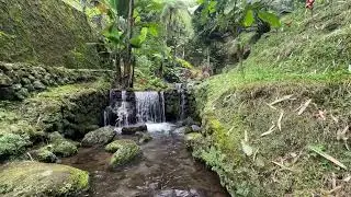 River Flow ASMR: Soothing Water Sounds for Sleep 