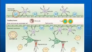 Kevin Robertson, Ph.D. - HIV Associated Neurocognitive Disorders Global Findings