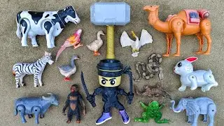 Menemukan hewan sapi, bebek, angsa, ayam, gajah, gorilla, simpanse, singa, unta, buaya, zebra.